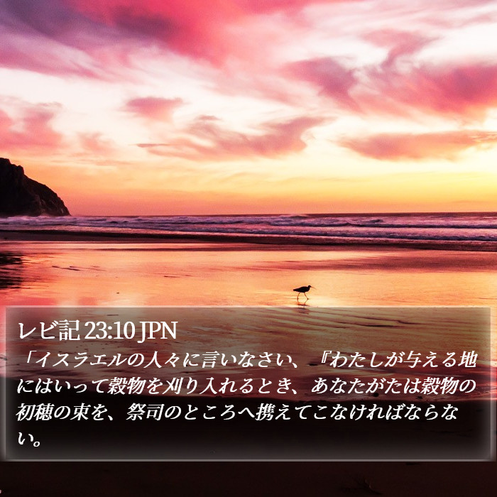 レビ記 23:10 JPN Bible Study