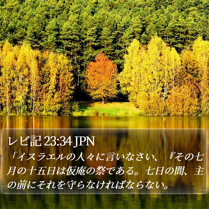 レビ記 23:34 JPN Bible Study