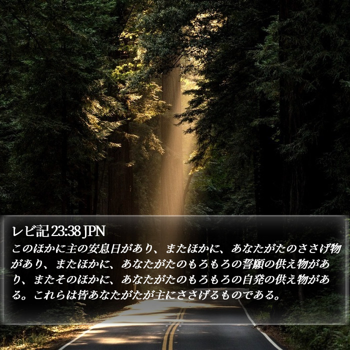 レビ記 23:38 JPN Bible Study