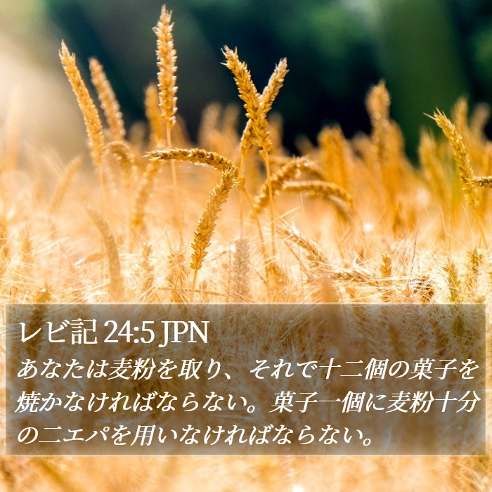レビ記 24:5 JPN Bible Study