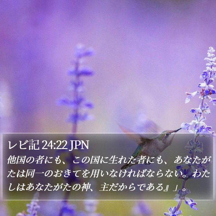 レビ記 24:22 JPN Bible Study