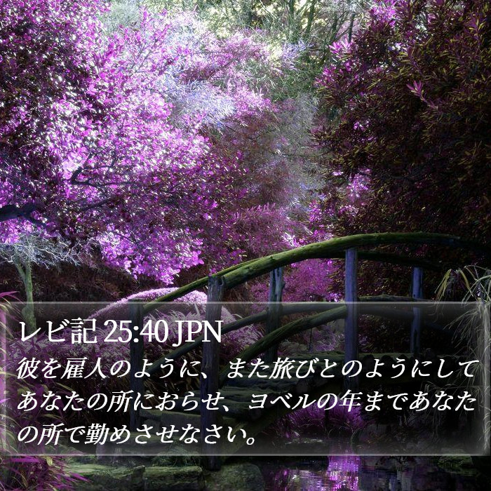 レビ記 25:40 JPN Bible Study