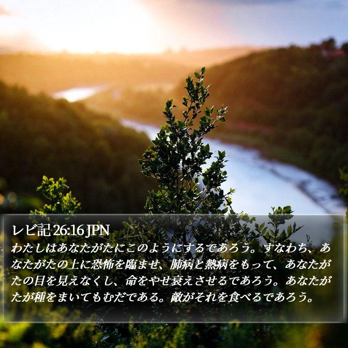 レビ記 26:16 JPN Bible Study