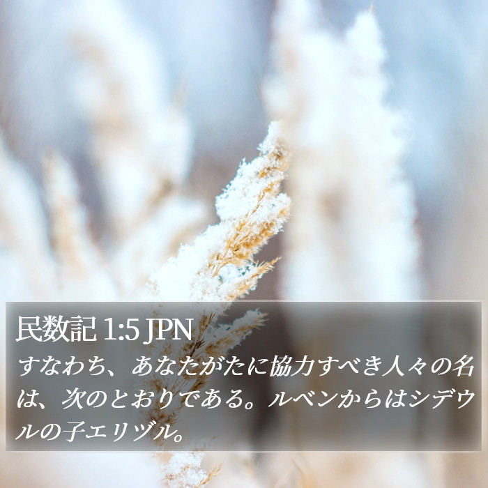 民数記 1:5 JPN Bible Study