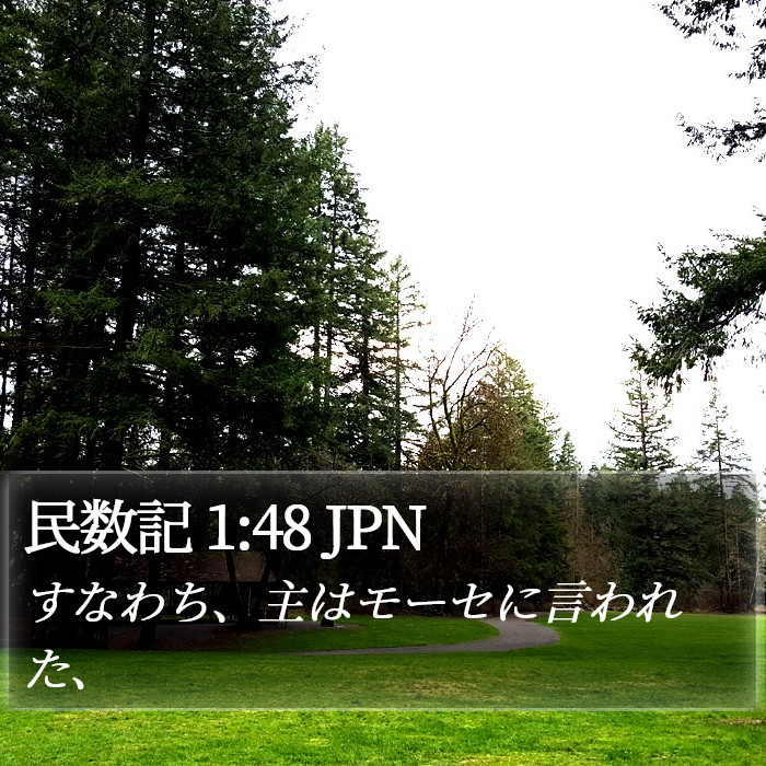 民数記 1:48 JPN Bible Study