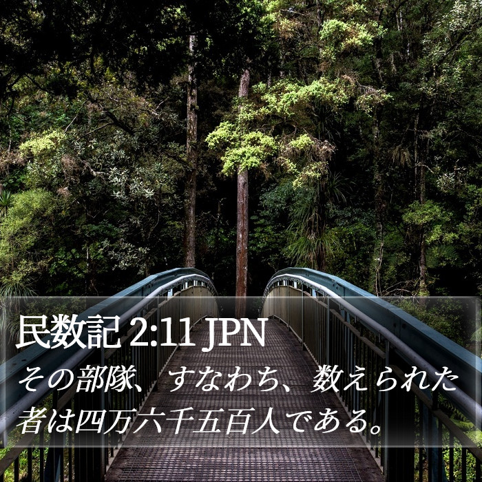 民数記 2:11 JPN Bible Study
