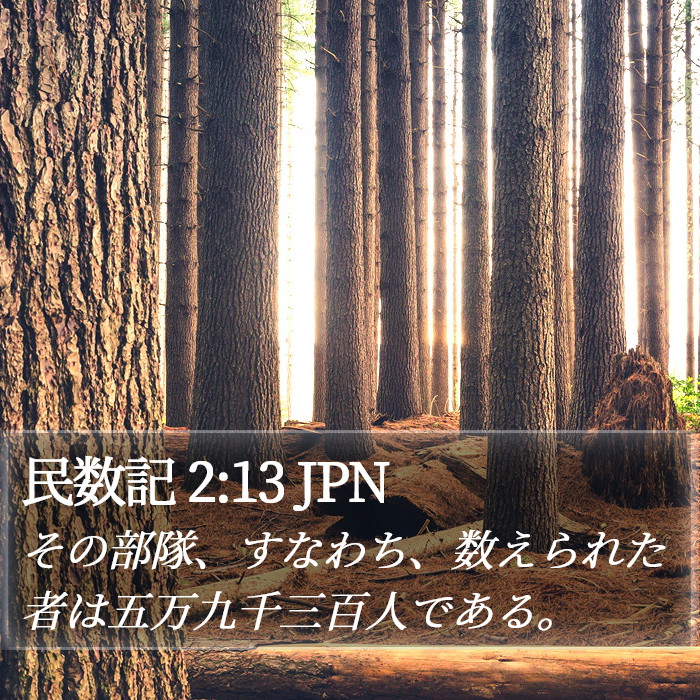 民数記 2:13 JPN Bible Study