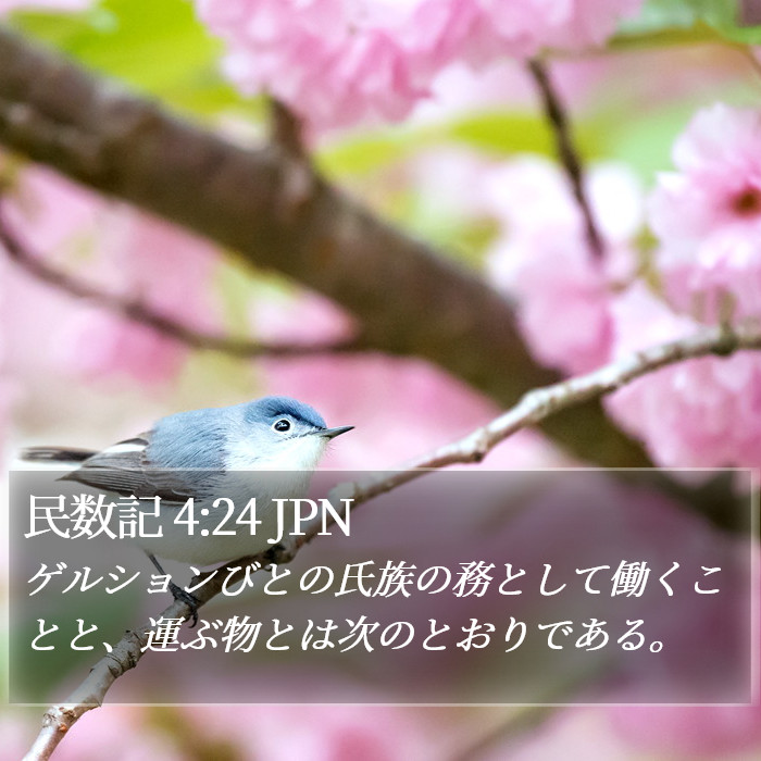 民数記 4:24 JPN Bible Study