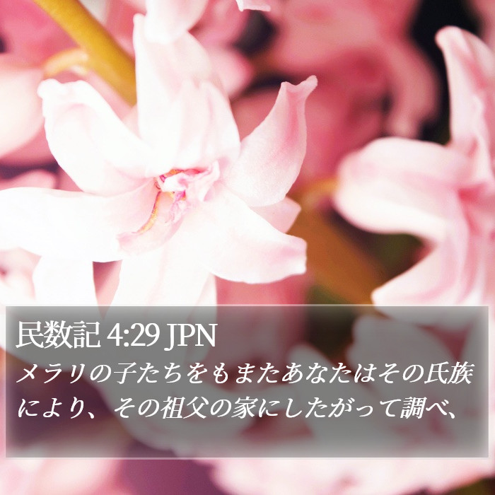 民数記 4:29 JPN Bible Study