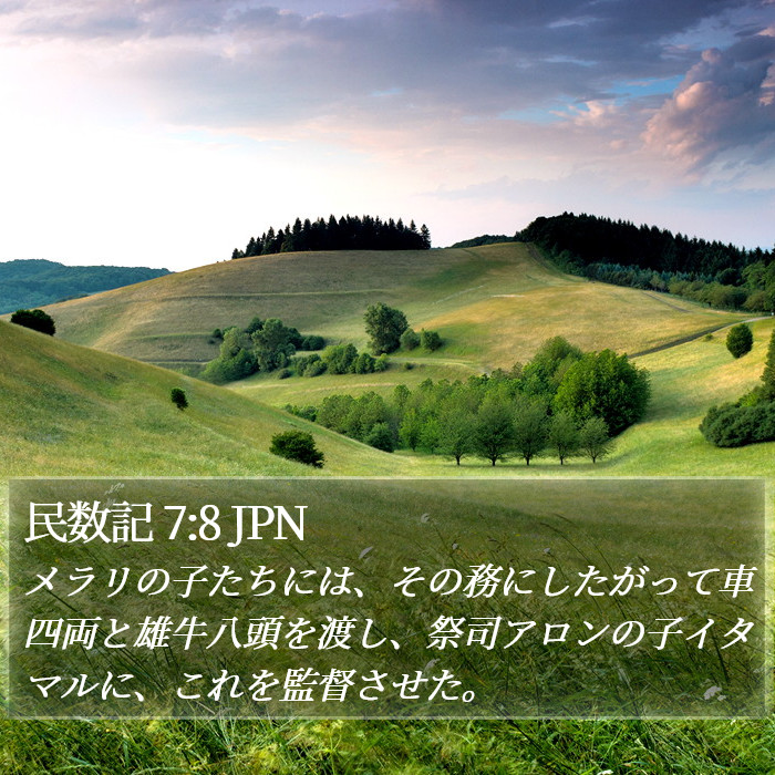 民数記 7:8 JPN Bible Study