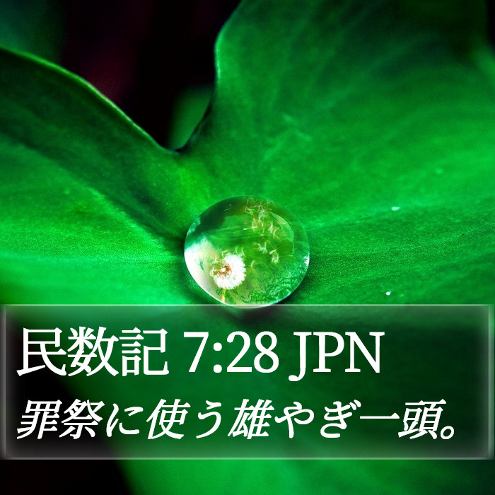 民数記 7:28 JPN Bible Study