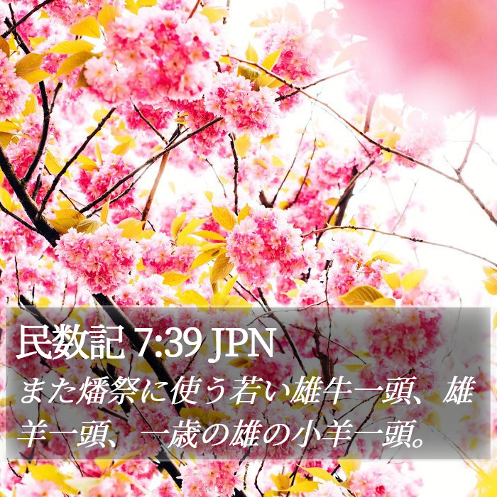 民数記 7:39 JPN Bible Study