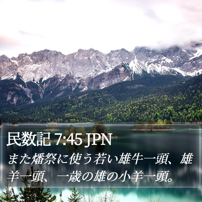 民数記 7:45 JPN Bible Study