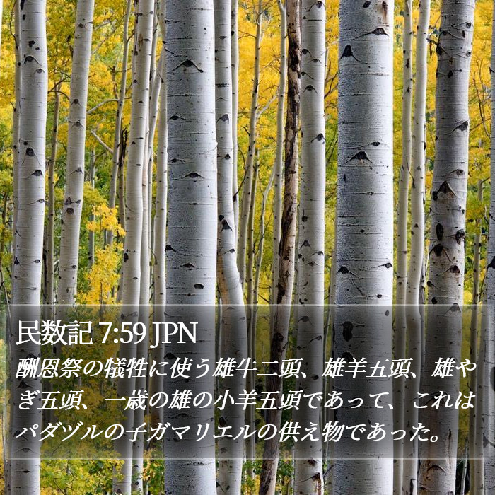 民数記 7:59 JPN Bible Study