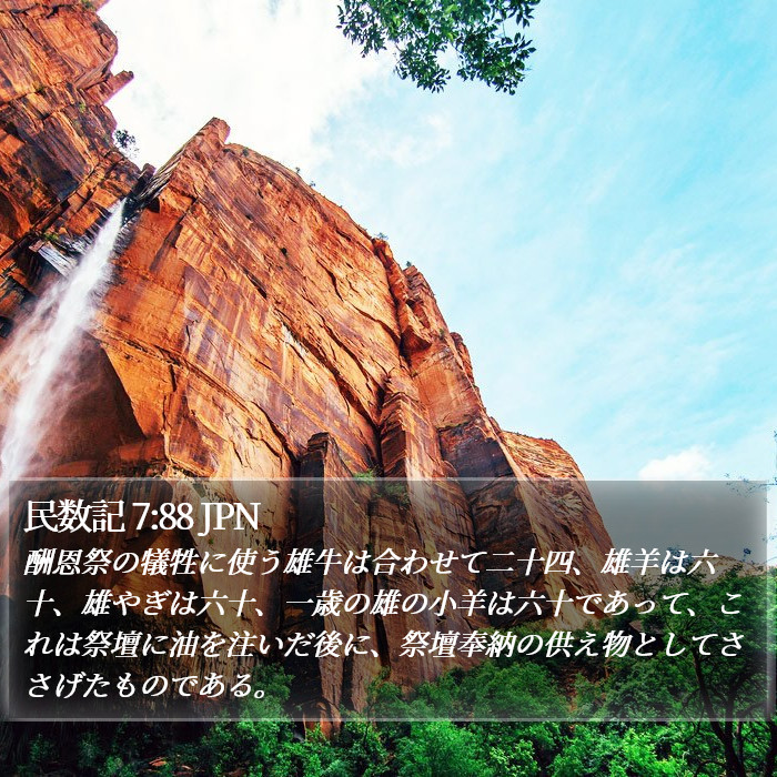 民数記 7:88 JPN Bible Study