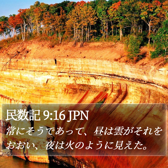民数記 9:16 JPN Bible Study
