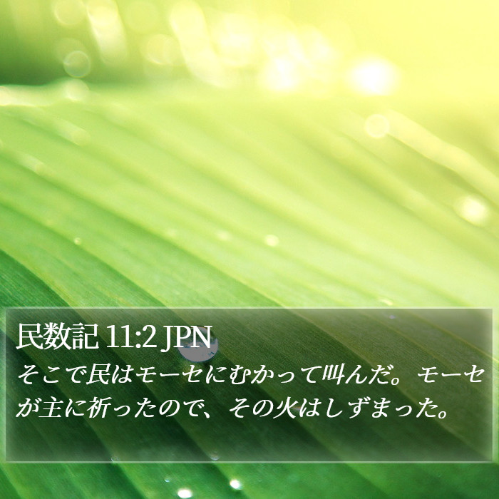 民数記 11:2 JPN Bible Study