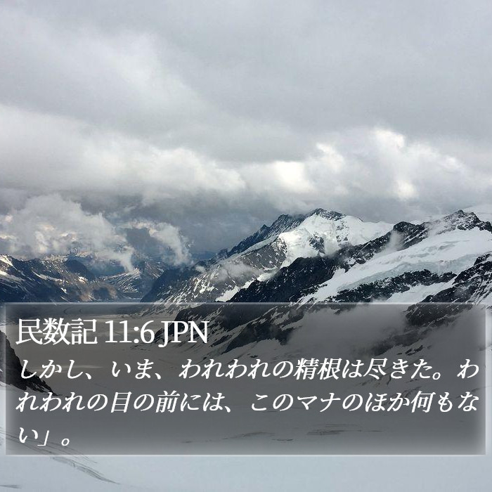 民数記 11:6 JPN Bible Study