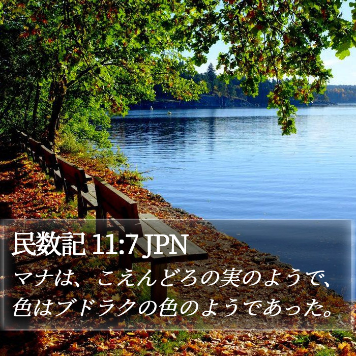 民数記 11:7 JPN Bible Study