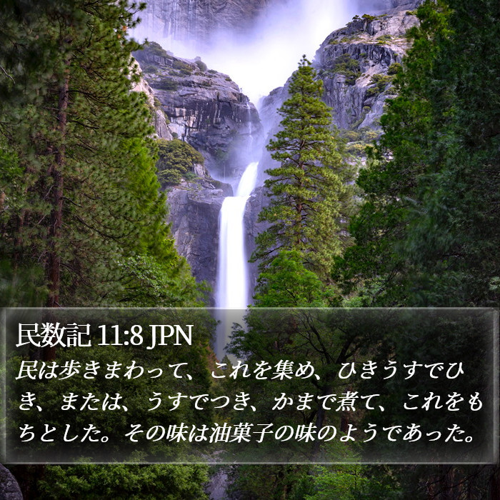 民数記 11:8 JPN Bible Study