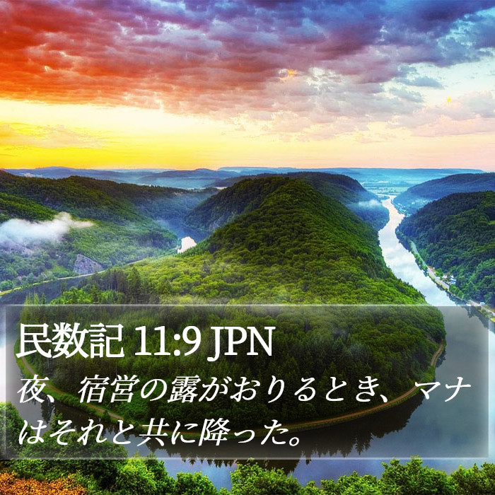 民数記 11:9 JPN Bible Study