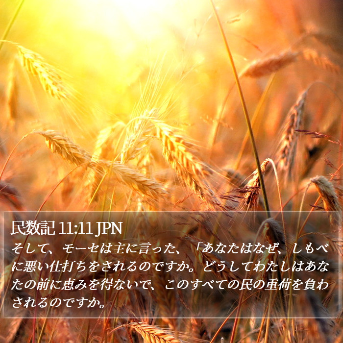 民数記 11:11 JPN Bible Study