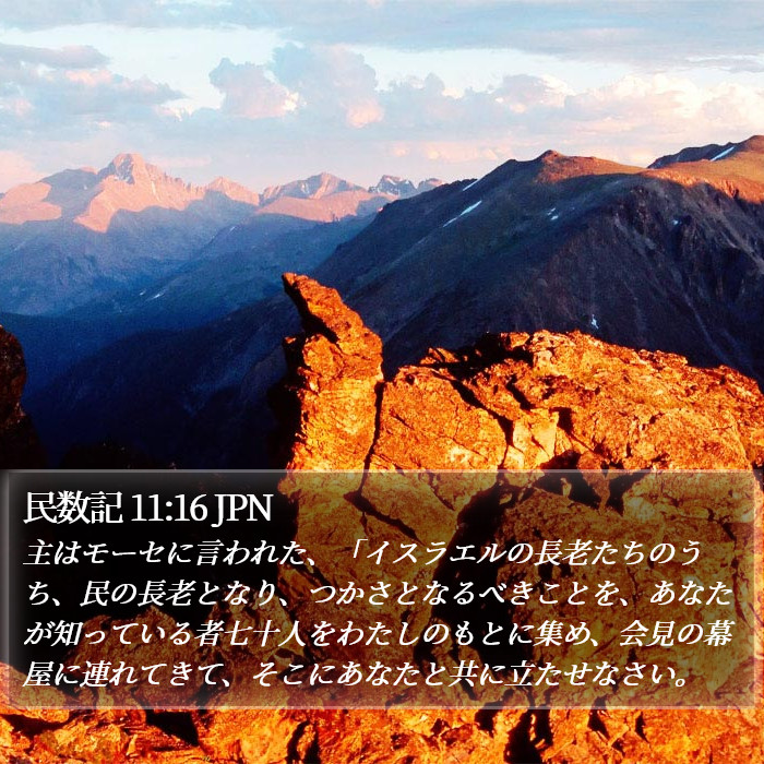 民数記 11:16 JPN Bible Study