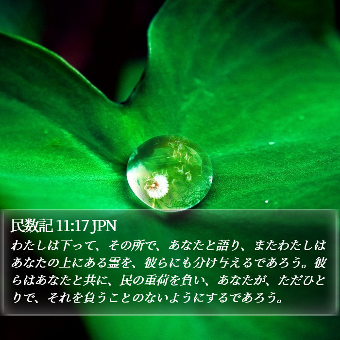 民数記 11:17 JPN Bible Study