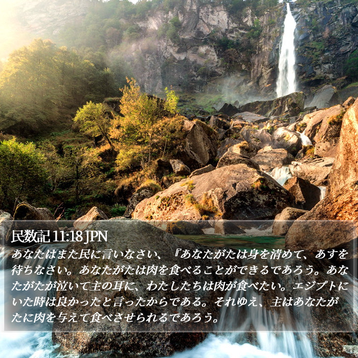 民数記 11:18 JPN Bible Study