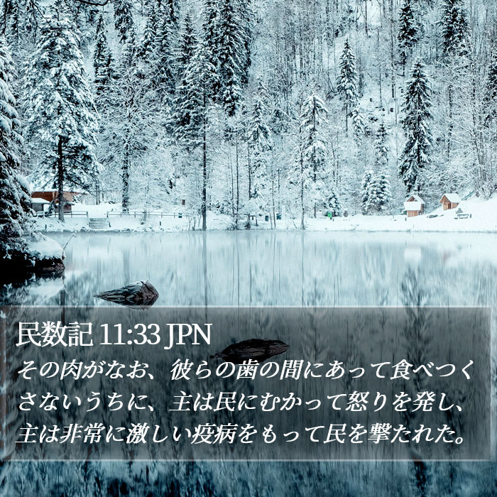 民数記 11:33 JPN Bible Study