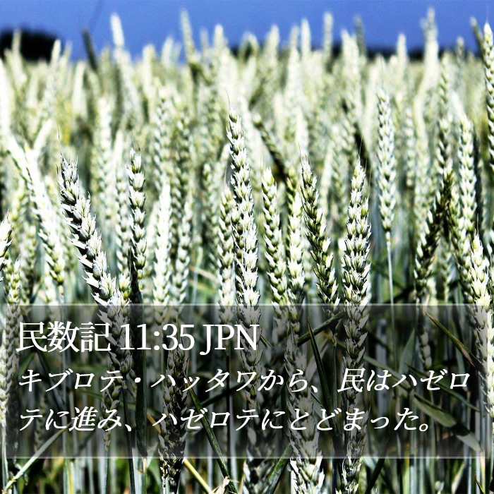 民数記 11:35 JPN Bible Study