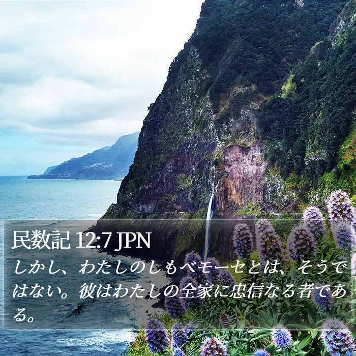 民数記 12:7 JPN Bible Study