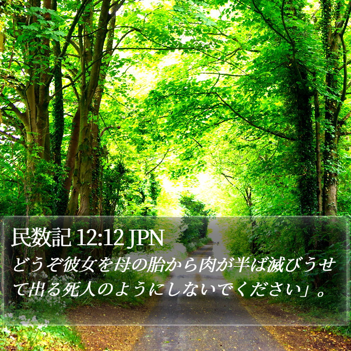 民数記 12:12 JPN Bible Study