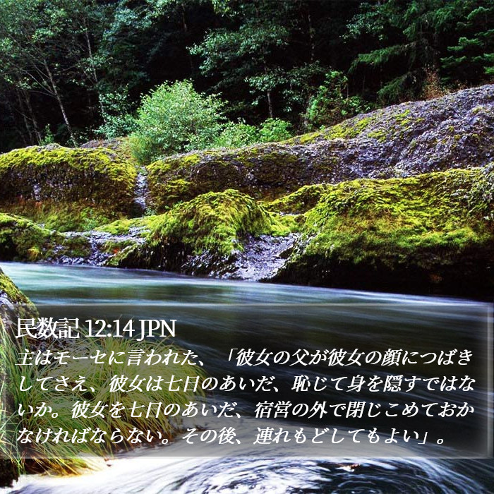 民数記 12:14 JPN Bible Study