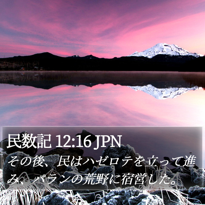 民数記 12:16 JPN Bible Study