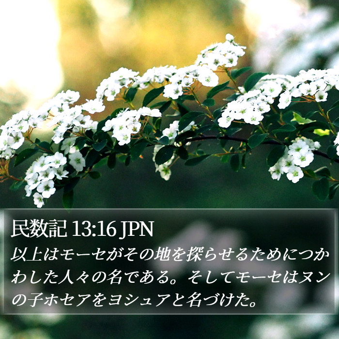 民数記 13:16 JPN Bible Study