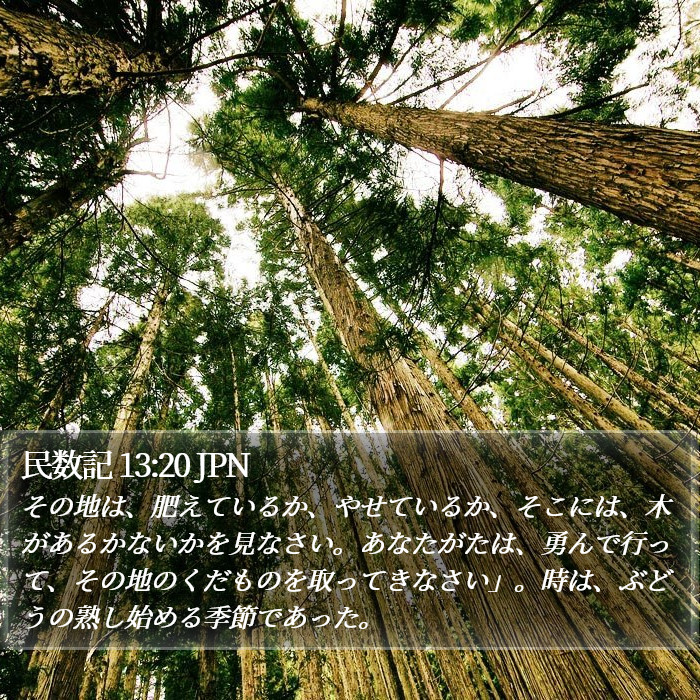 民数記 13:20 JPN Bible Study