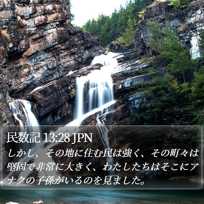 民数記 13:28 JPN Bible Study