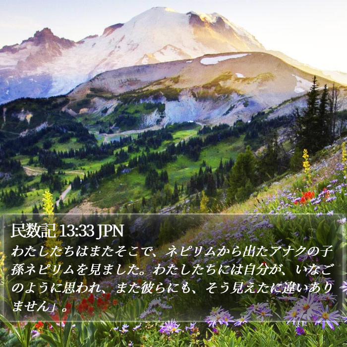 民数記 13:33 JPN Bible Study