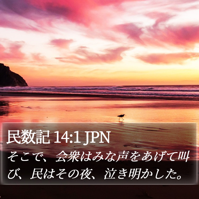 民数記 14:1 JPN Bible Study