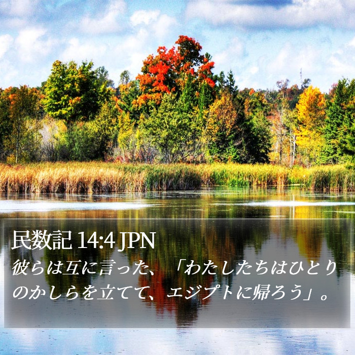 民数記 14:4 JPN Bible Study