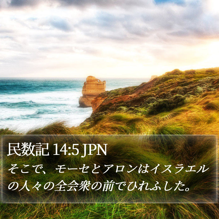 民数記 14:5 JPN Bible Study