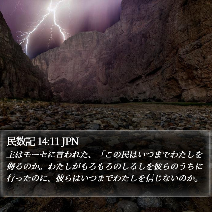 民数記 14:11 JPN Bible Study