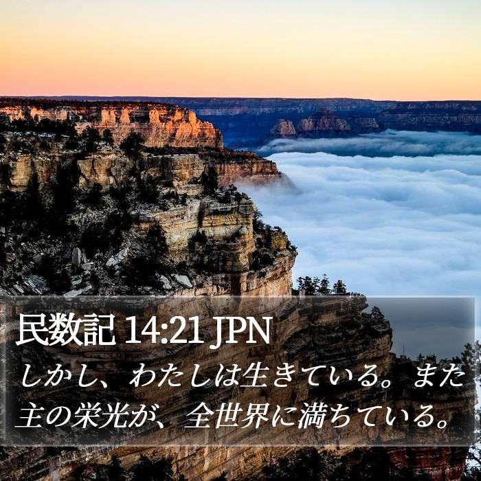 民数記 14:21 JPN Bible Study