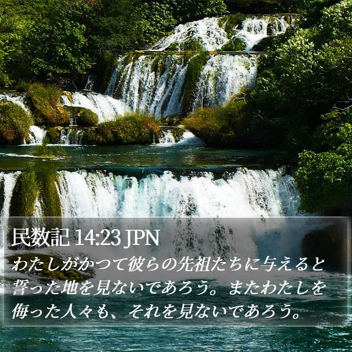 民数記 14:23 JPN Bible Study