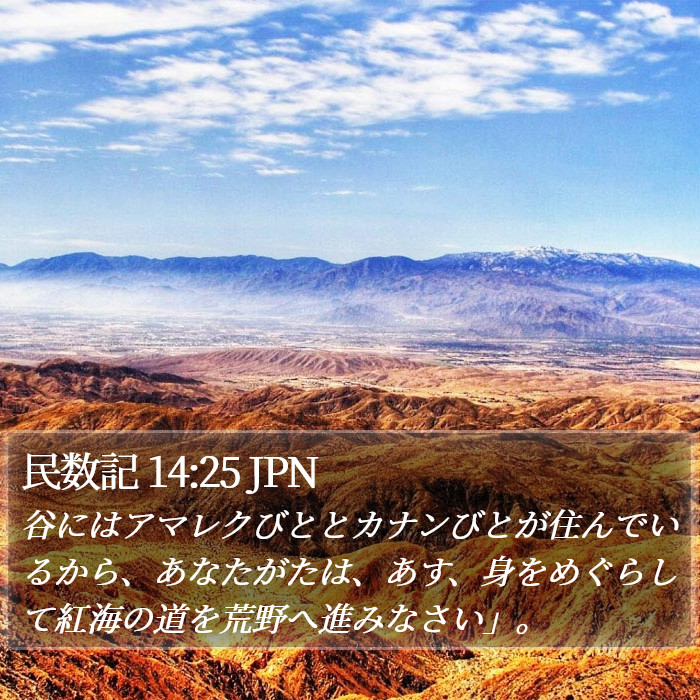 民数記 14:25 JPN Bible Study