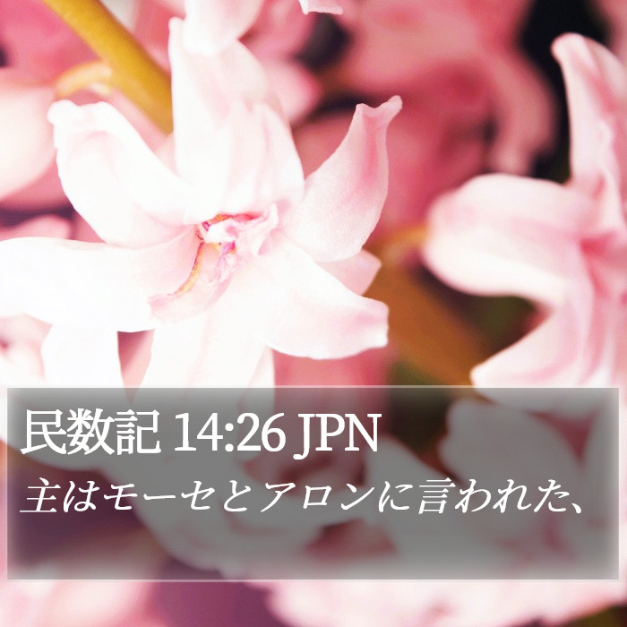 民数記 14:26 JPN Bible Study