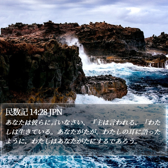 民数記 14:28 JPN Bible Study