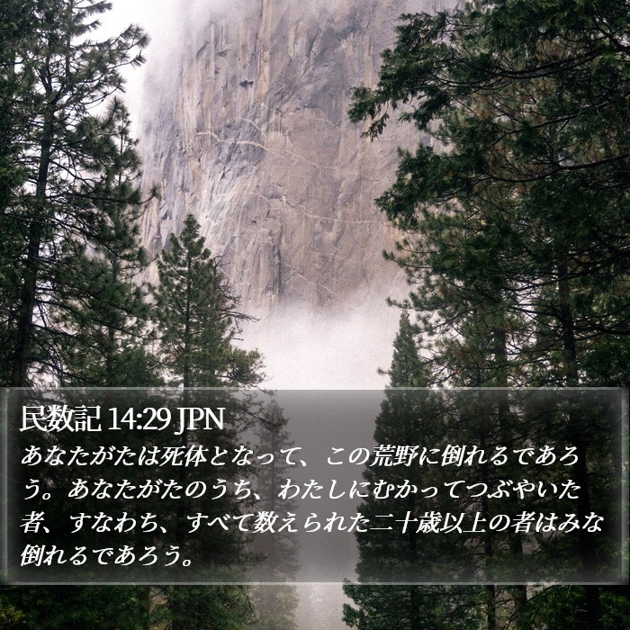 民数記 14:29 JPN Bible Study