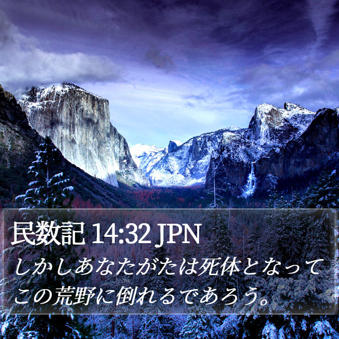 民数記 14:32 JPN Bible Study